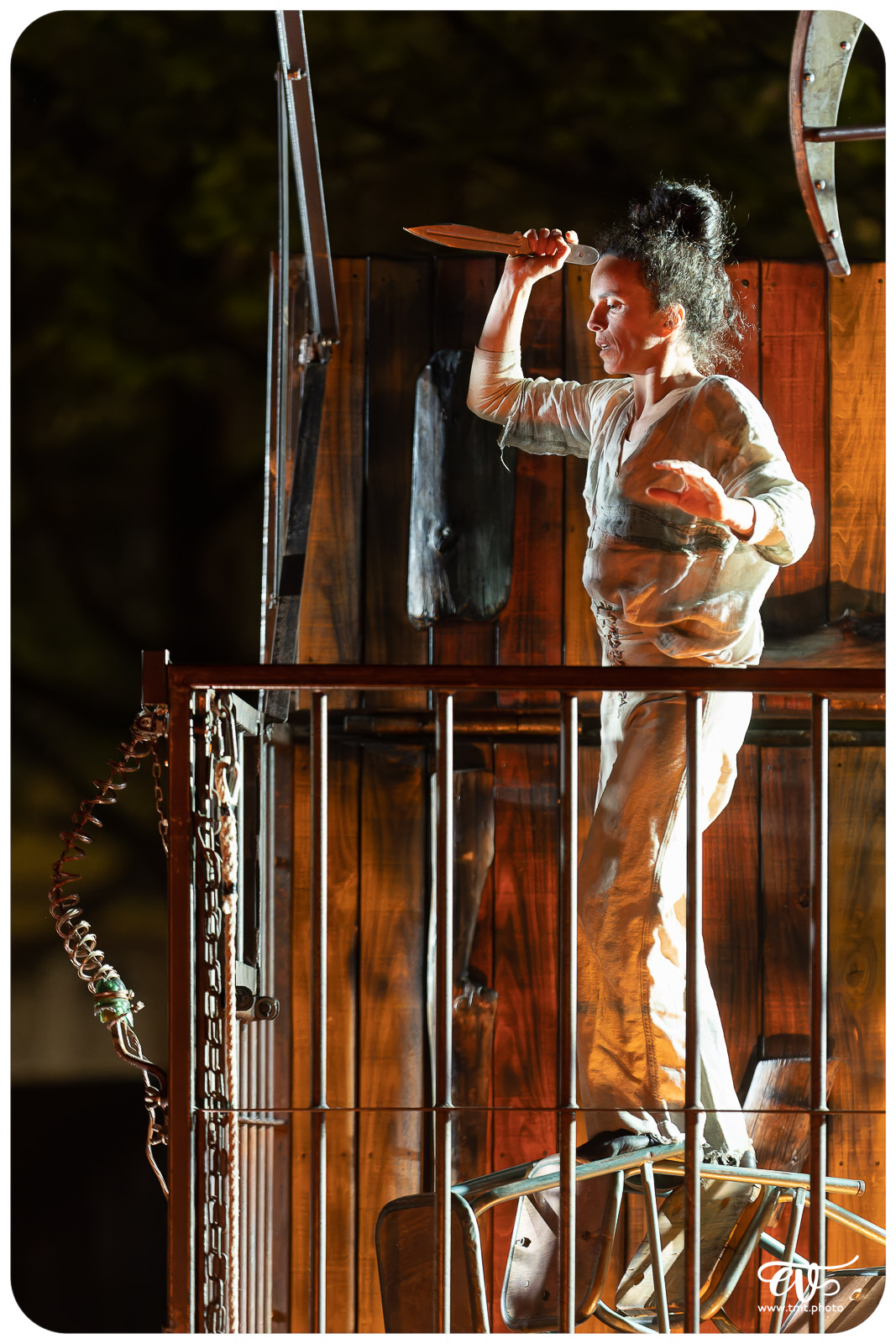 DE CHAIR ET D'ACIER (CIE 100 RACINES)